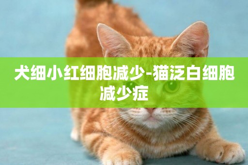 犬细小红细胞减少-猫泛白细胞减少症